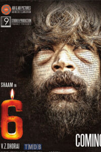 6 mezhuguvathigal (2013)