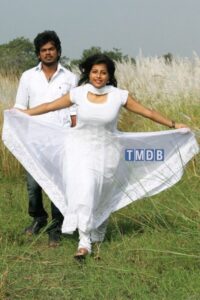 Nangellam Edagoodam (2014)