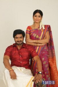 Vennila Veedu (2014)