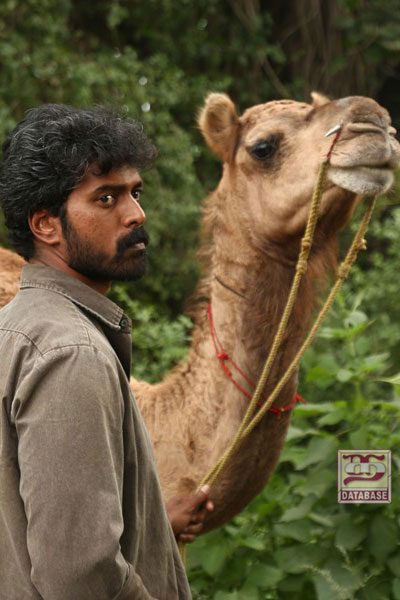 Bakrid (2019)