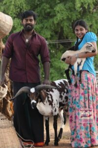 Billa Pandi (2018)