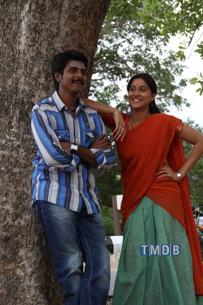 Kedi Billa Killadi Ranga (2013)
