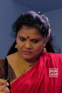 Paalkaari (2018)