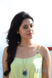 Savaale Samaali (2015)
